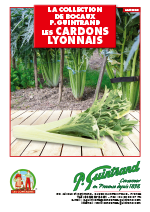 2020 fiche tomates GUINTRAND 1