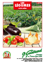 2020 fiche tomates GUINTRAND 1