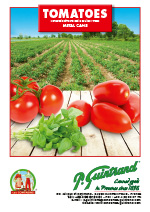 tomates GUINTRAND ANGLAIS 1