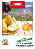 2020 fiche tomates GUINTRAND 1