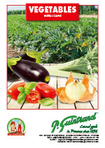 2020 fiche tomates GUINTRAND 1
